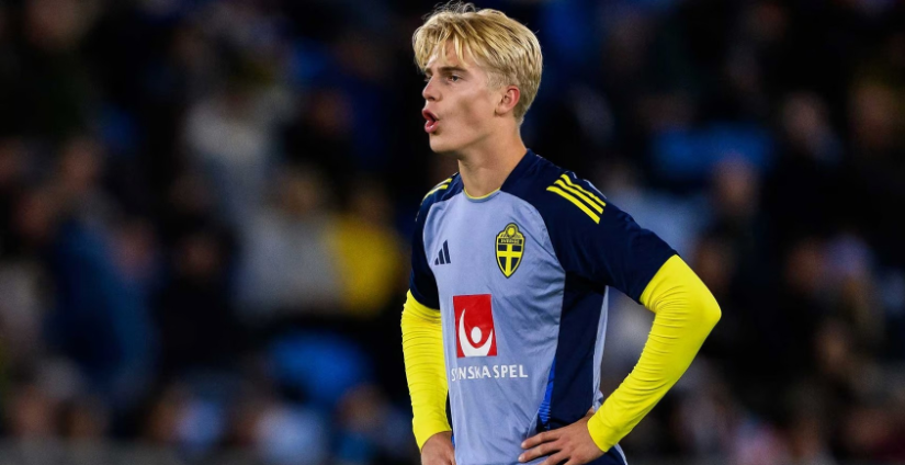 起之路告诉 起之路告诉